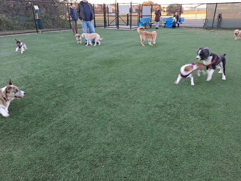 Newbridge Road Park photo 5