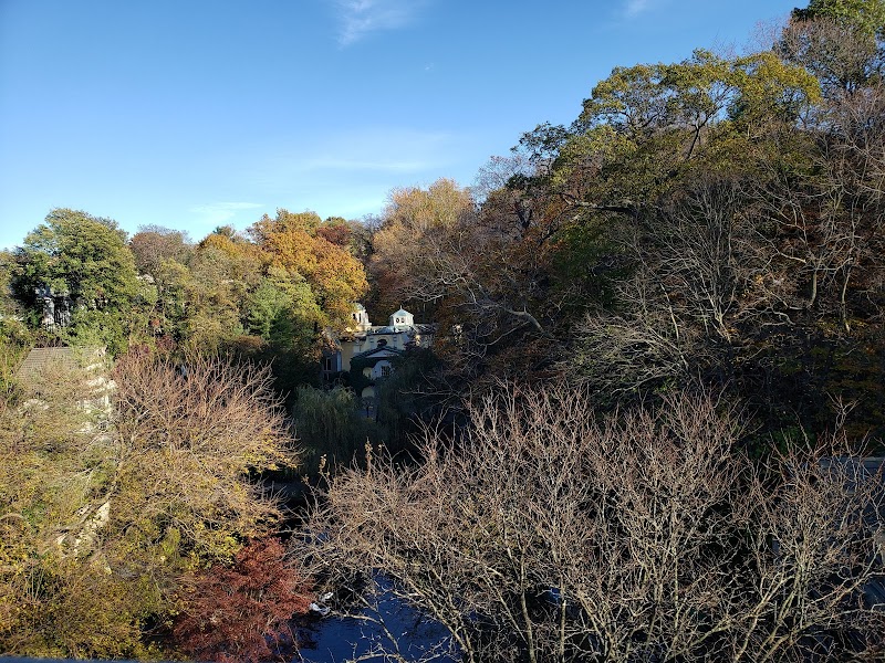Newington Cropsey Foundation photo 3