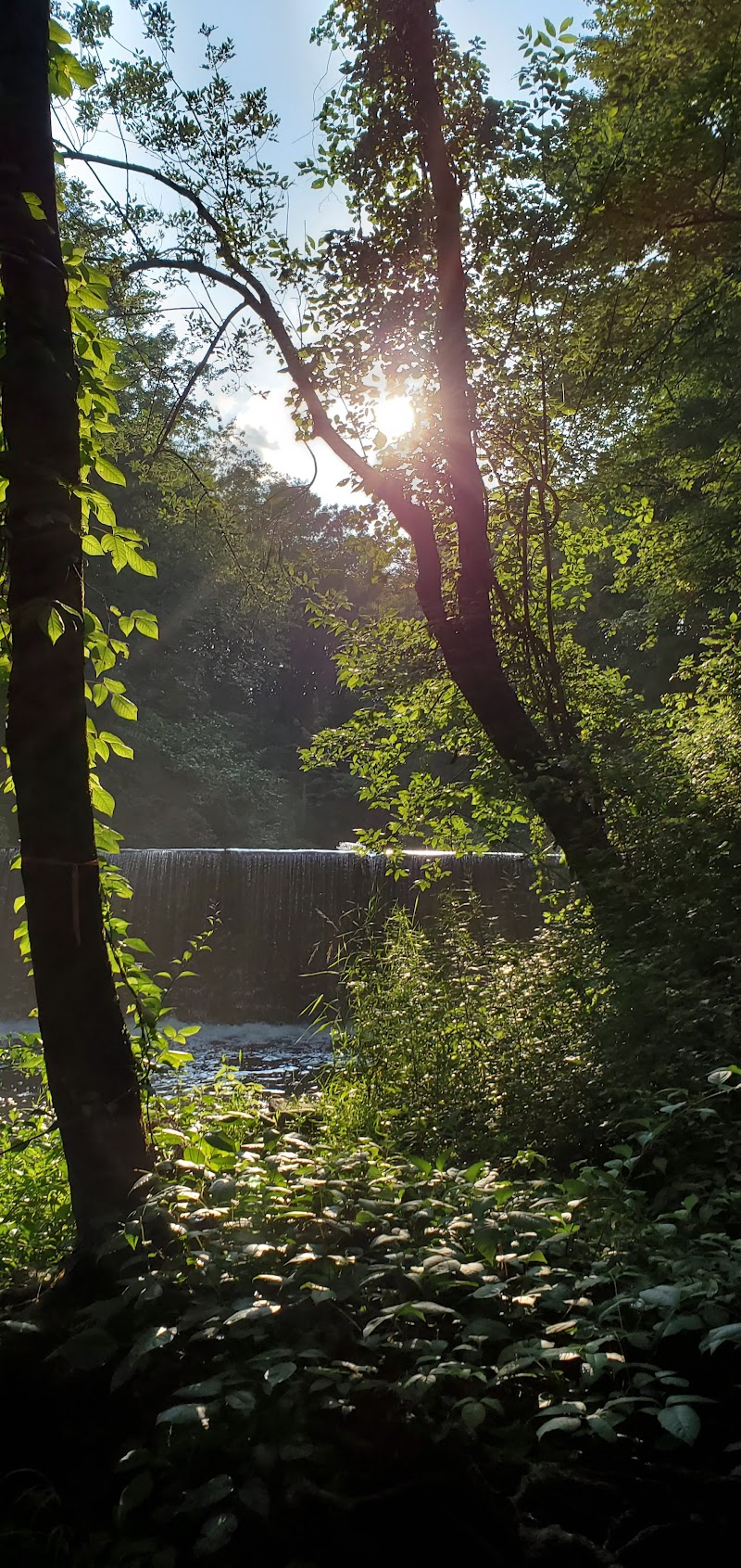 Newman Mills Park photo 4