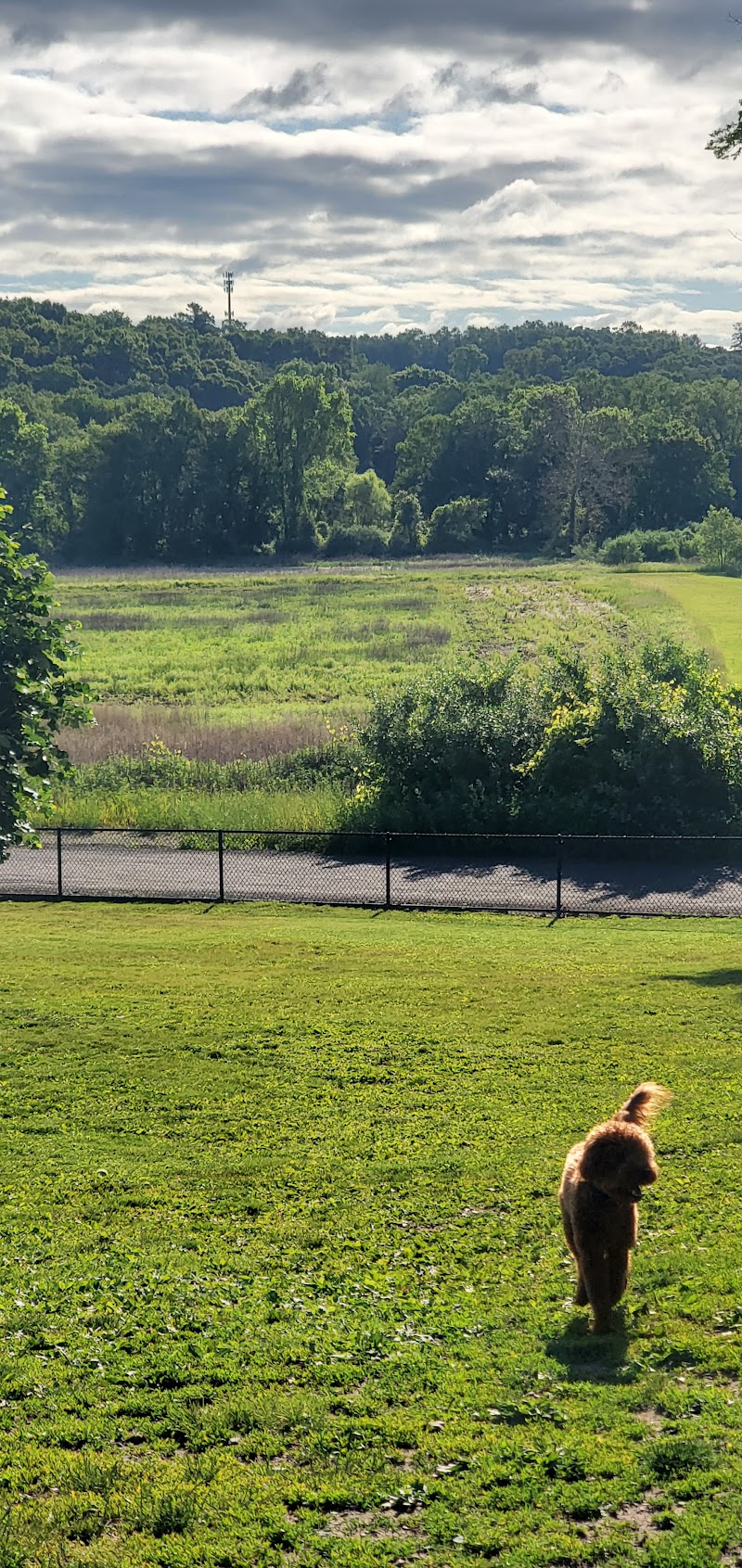 Newtown Park & Bark photo 4