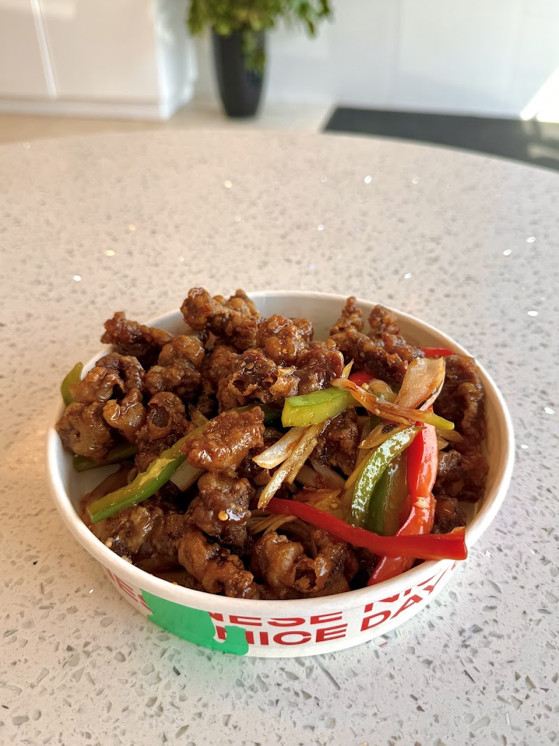 Nice Day Chinese Takeout | Deer Park NY 好日子外卖店 photo 4