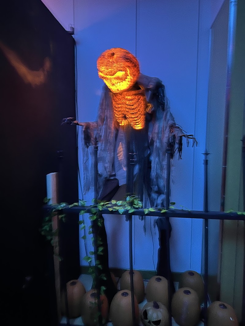 Nightmare In Nassau photo 3