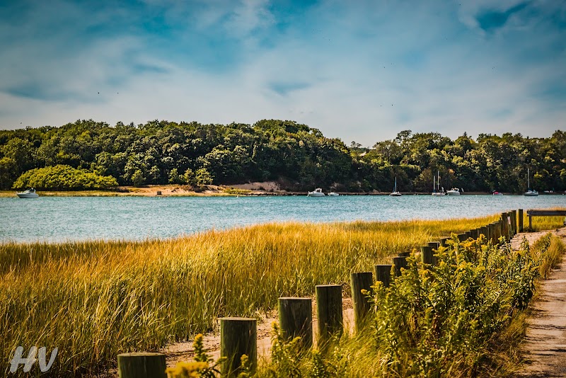 Nissequogue River State Park photo 5