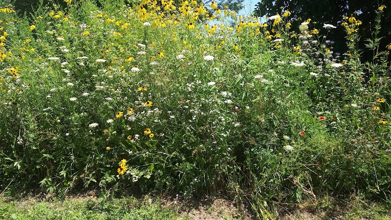 Nob Hill Park photo 3
