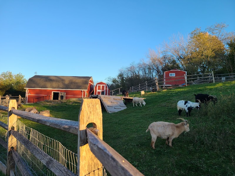Norman J. Levy Park & Preserve photo 3