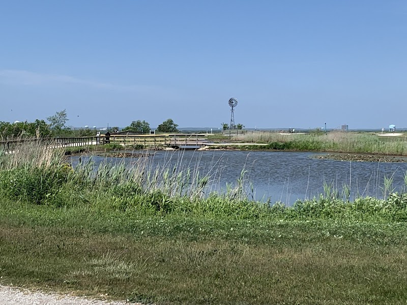 Norman J. Levy Park & Preserve photo 4