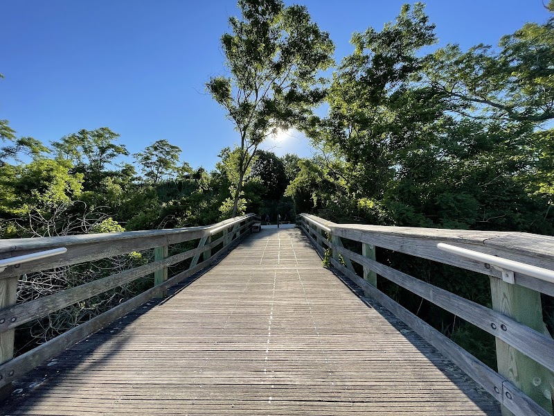 Norman J. Levy Park & Preserve photo 5