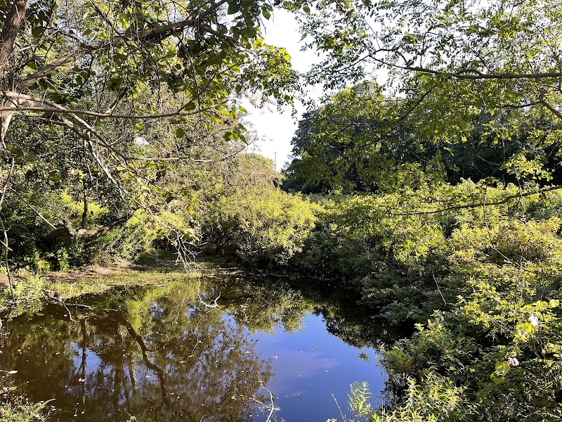 North Fork Audubon Society photo 4