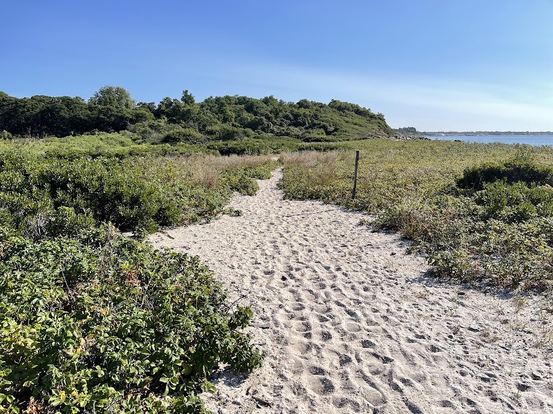 North Fork Audubon Society photo 5