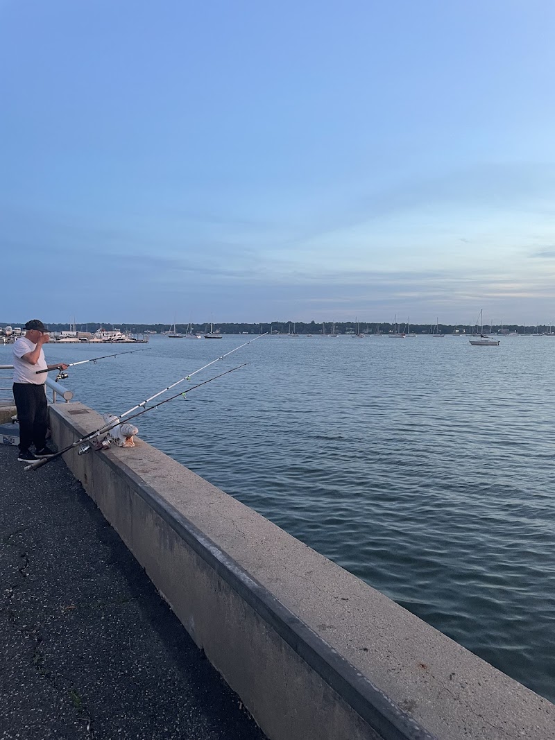 North Hempstead Town Dock photo 4