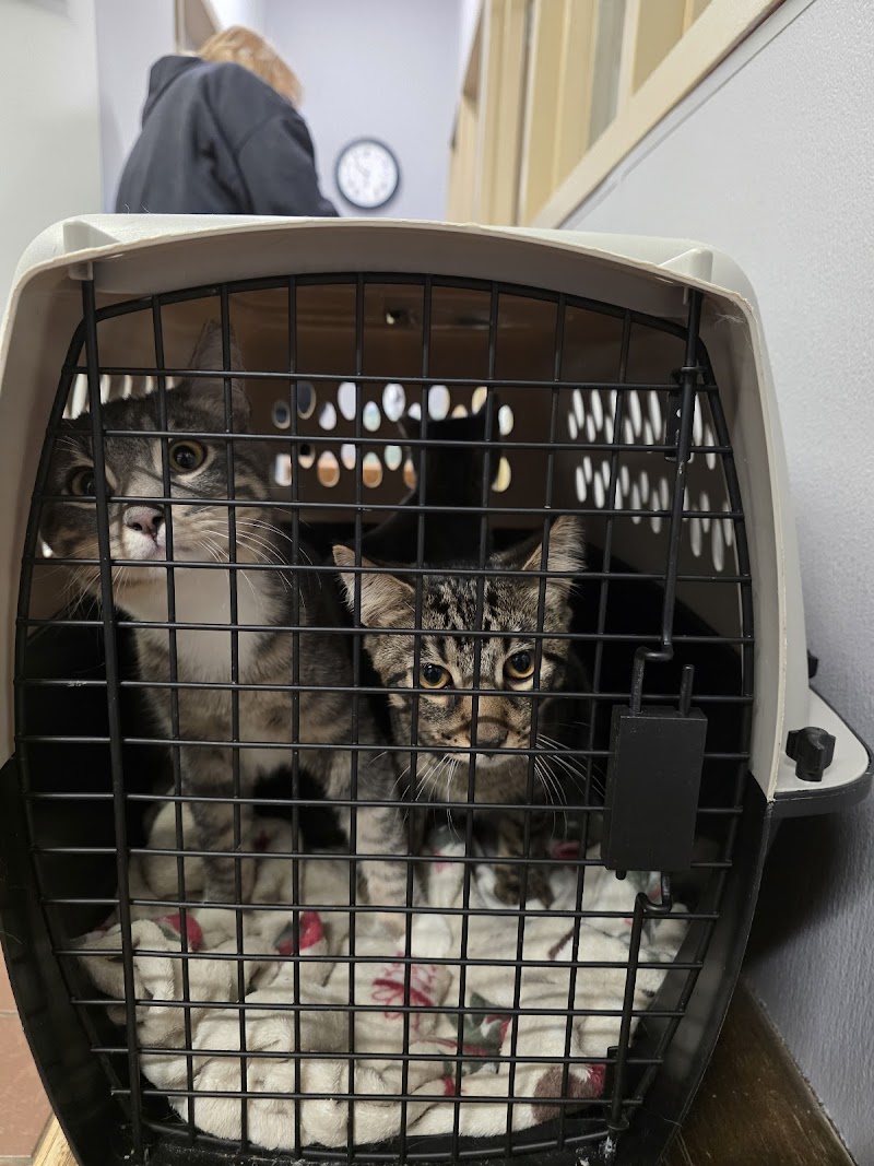North Shore Animal League America photo 1