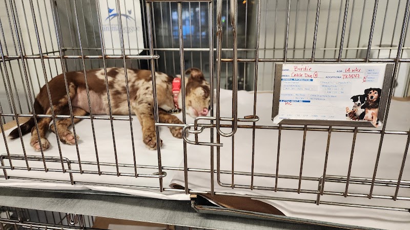 North Shore Animal League America photo 2