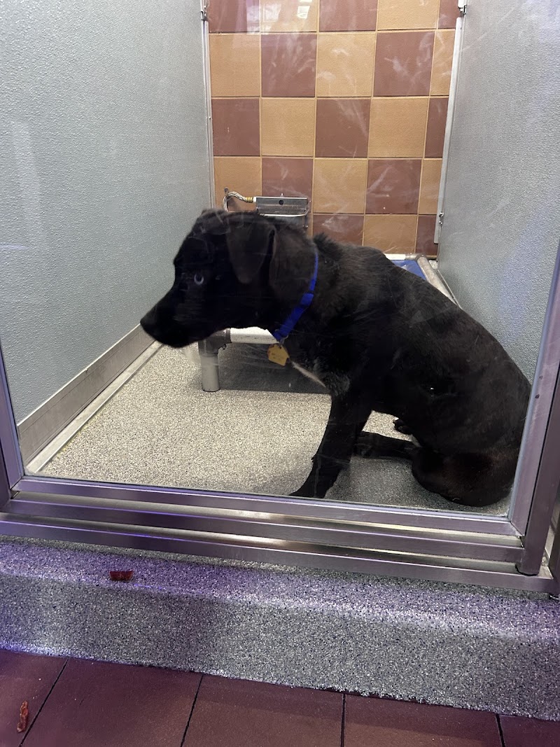 North Shore Animal League America photo 3