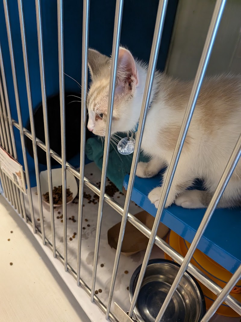 North Shore Animal League America photo 4