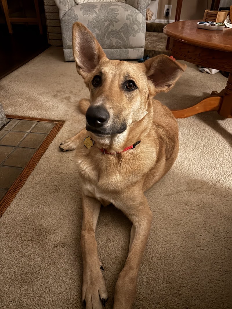 North Shore Animal League America photo 5