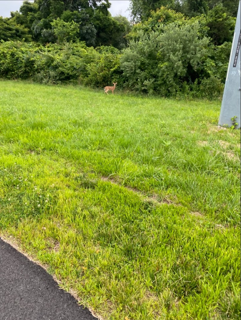 North Shore Rail Trail photo 2