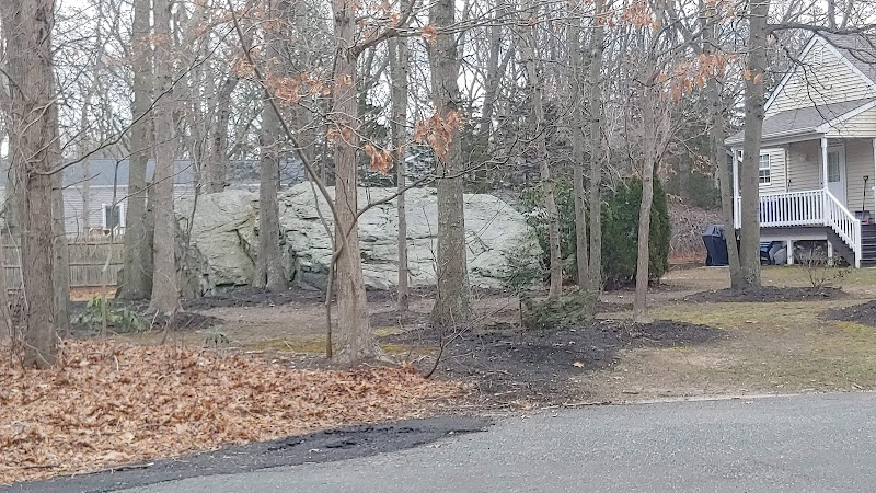 North Shore Rail Trail photo 3