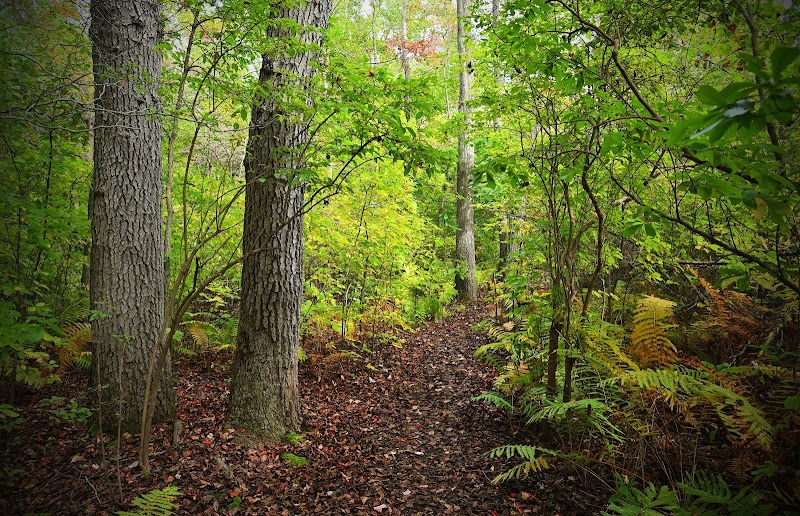 North Shore Wildlife Sanctuary photo 2
