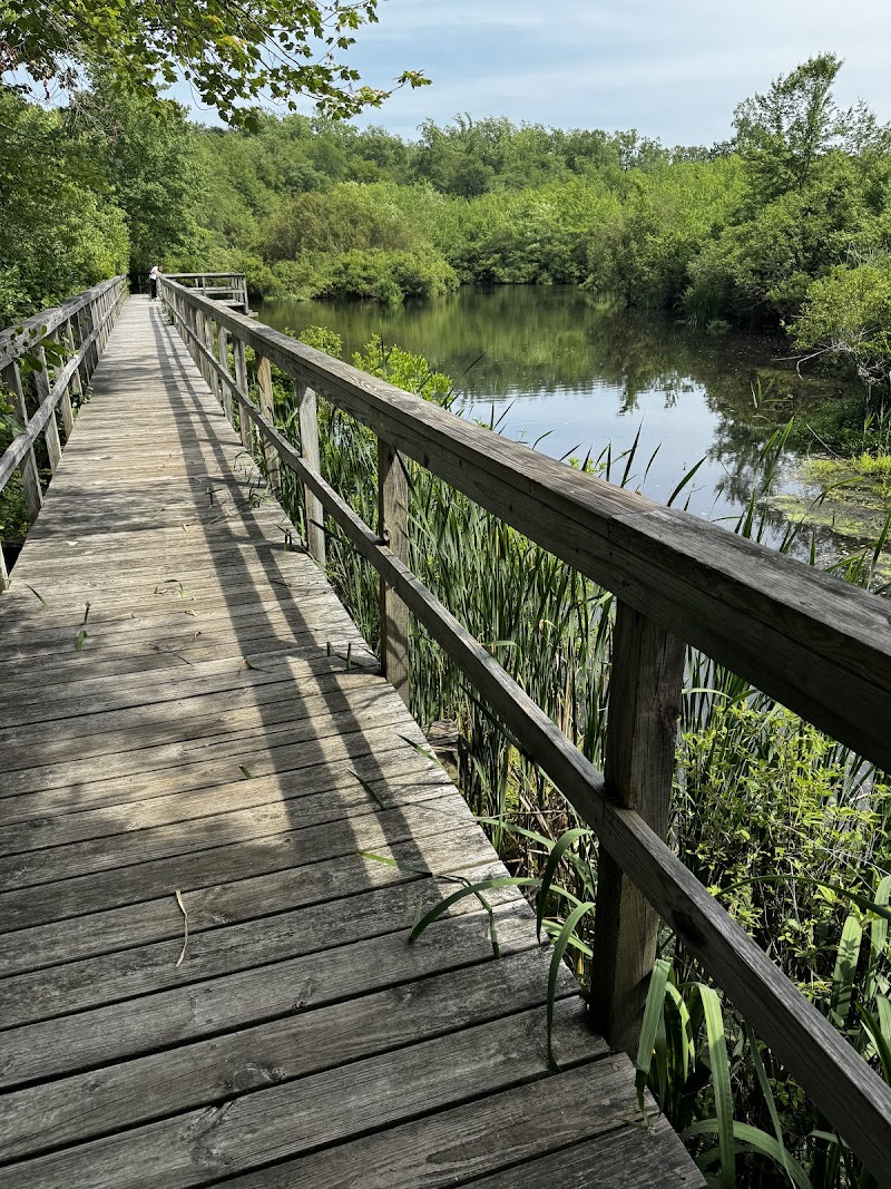 North Shore Wildlife Sanctuary photo 3