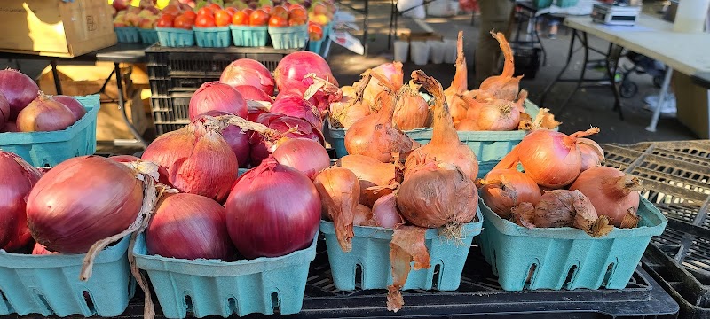 Northport Farmers' Market - Saturdays starting June 7th photo 4