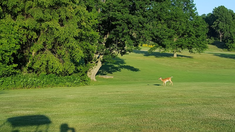 Northport Golf Course photo 3