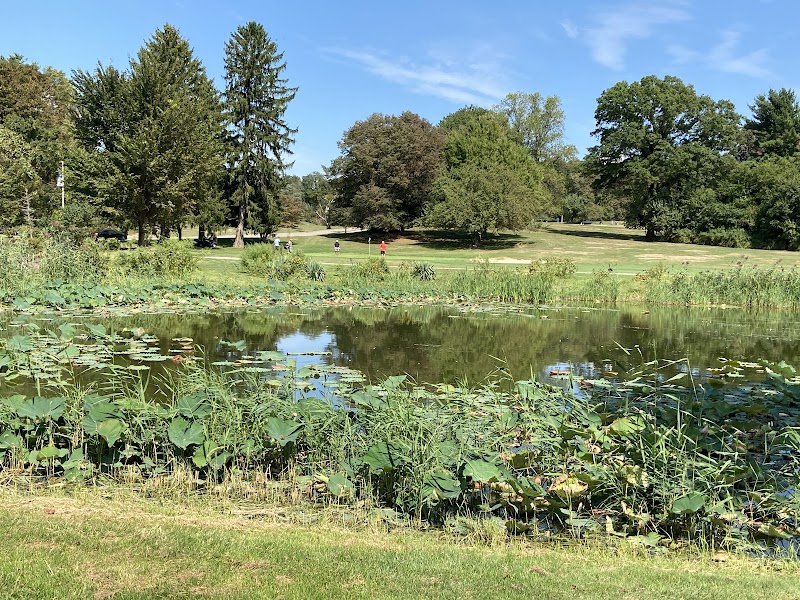 Northport Golf Course photo 4