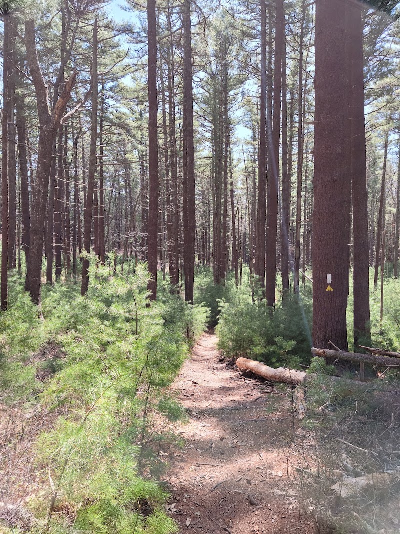 Northwest Woods Trails photo 2