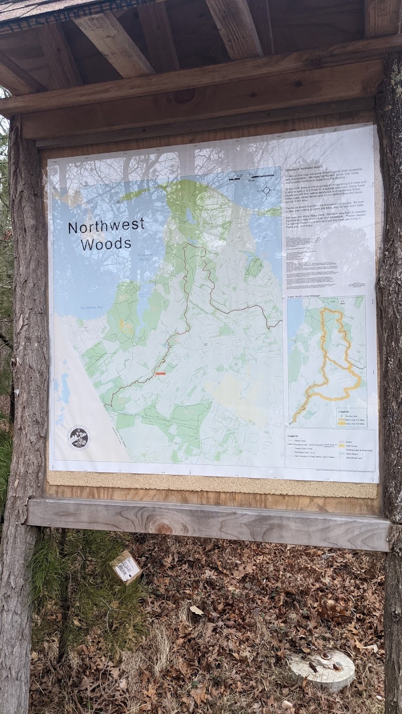 Northwest Woods Trails photo 3