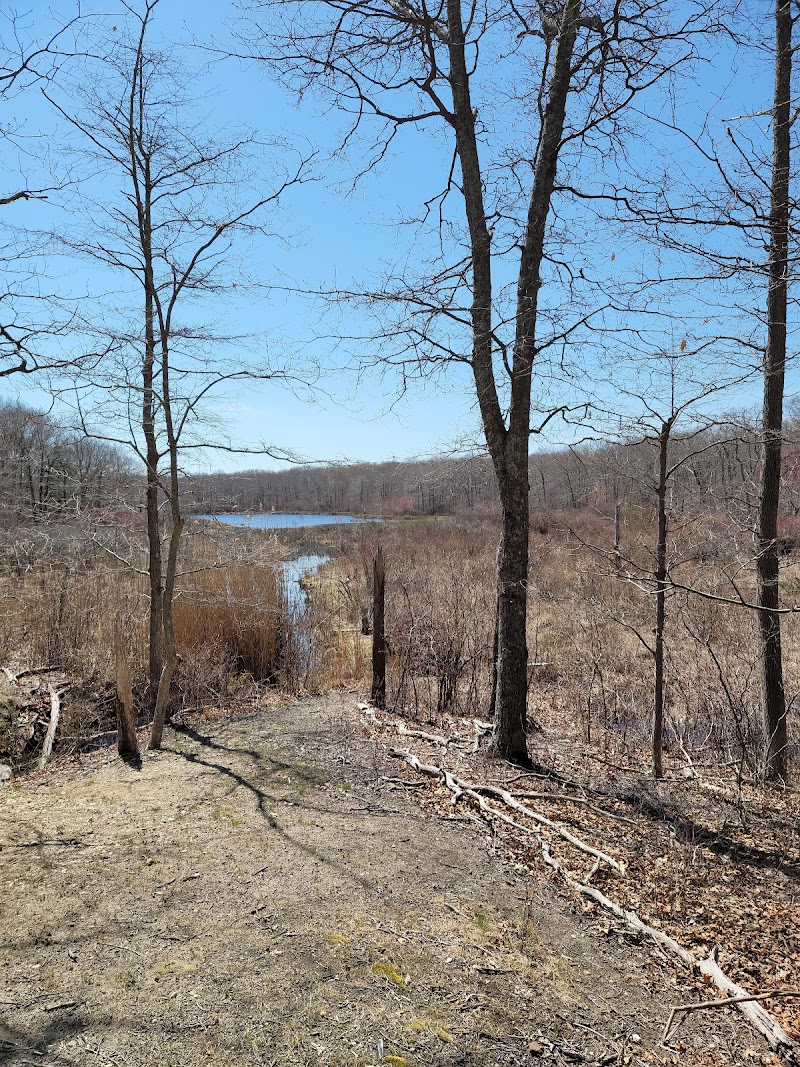 Northwest Woods Trails photo 4