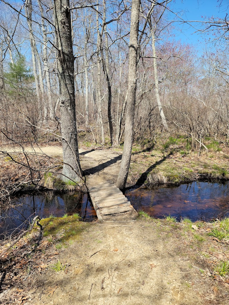 Northwest Woods Trails photo 5