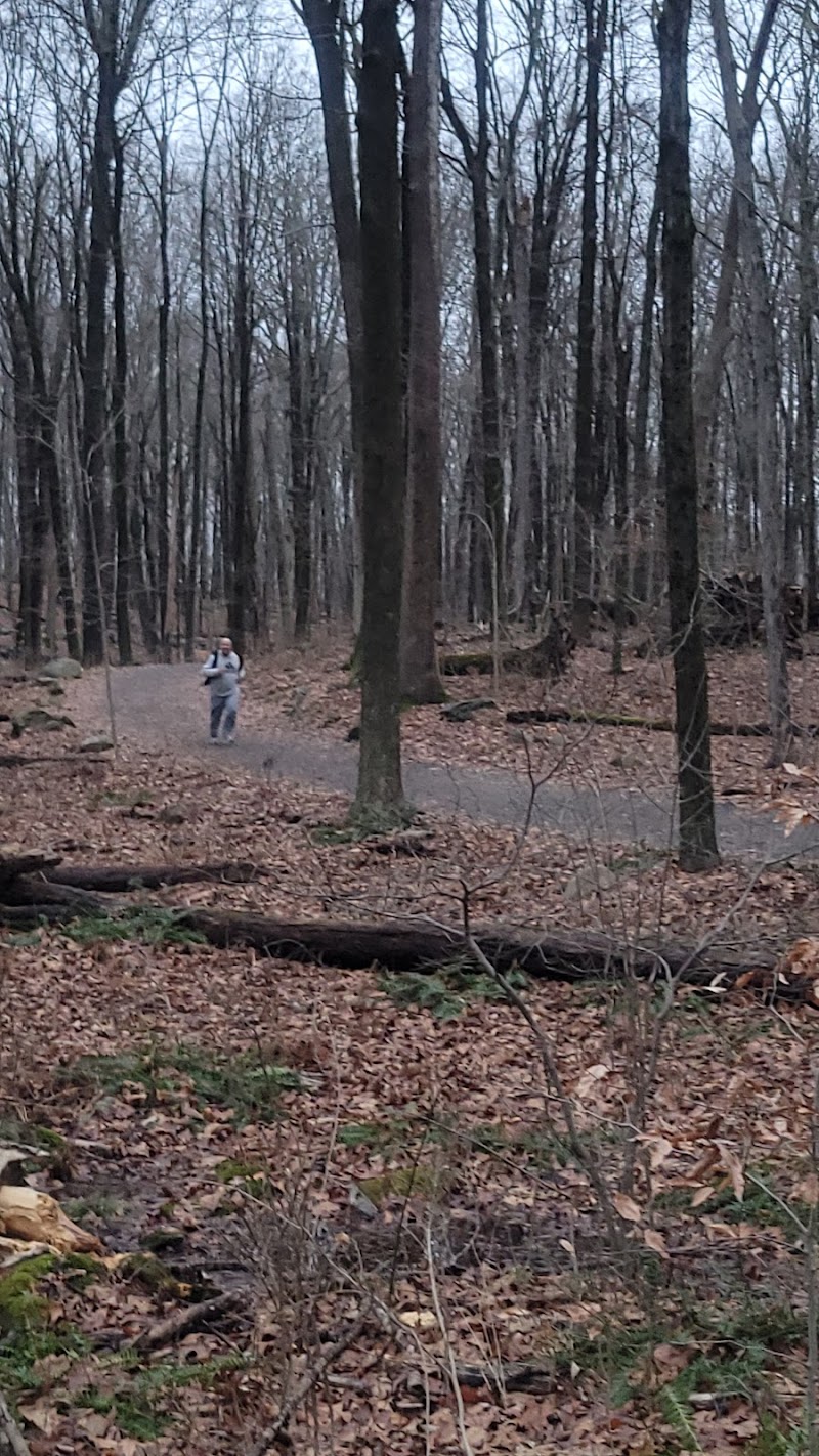 Norwalk River Valley Trail (NRVT) photo 5
