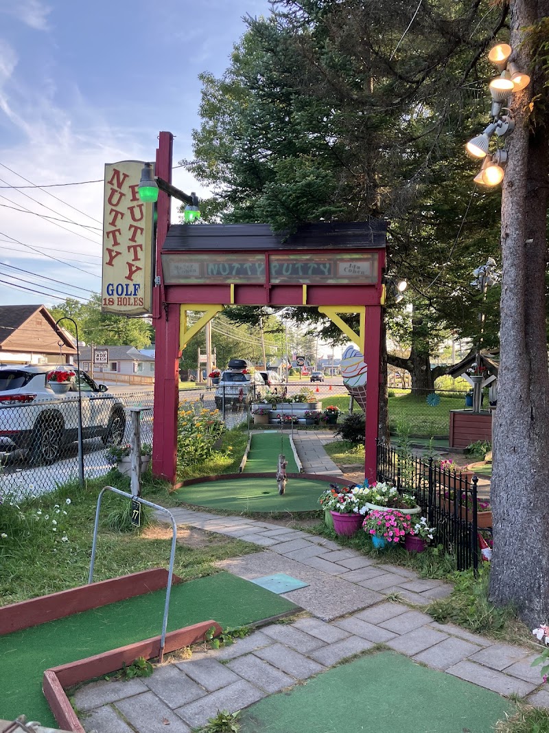Nutty Putty Miniature Golf photo 3