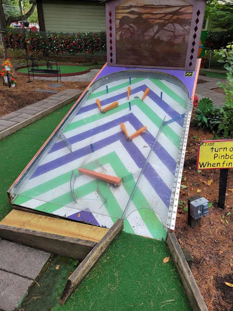 Nutty Putty Miniature Golf photo 4