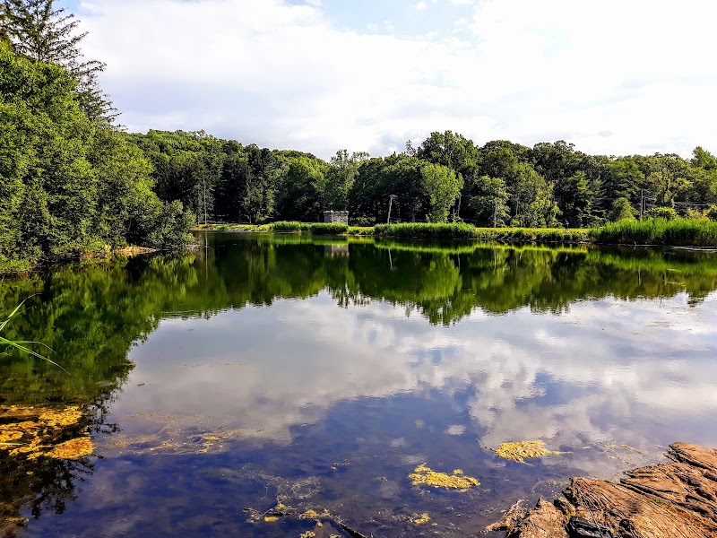 O'Hara Nature Center photo 3