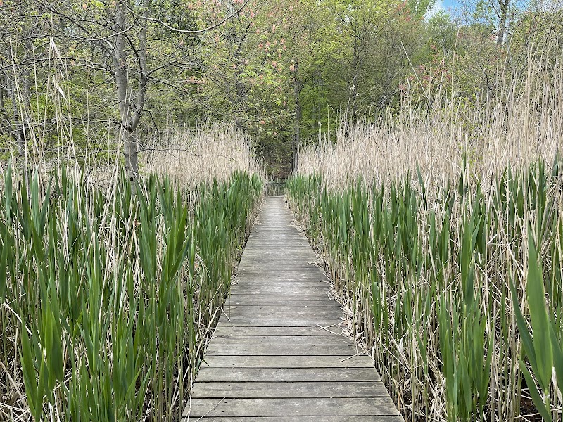 O'Hara Nature Center photo 5