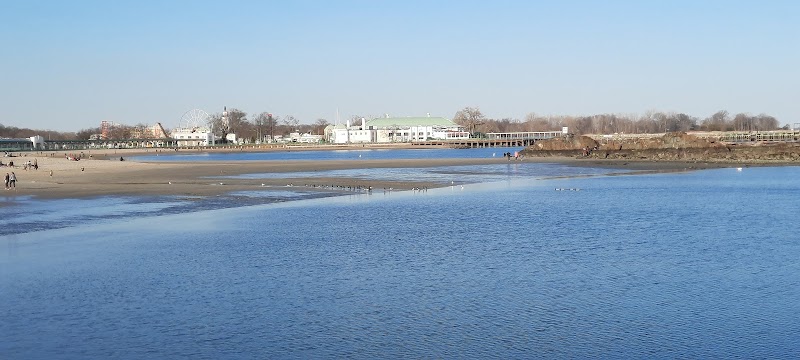Oakland Beach photo 4