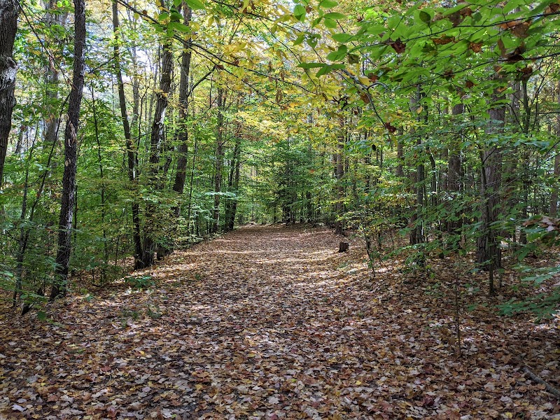 Oakley Corners State Forest photo 2