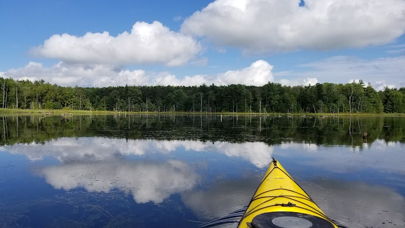 Oakley Corners State Forest photo 3