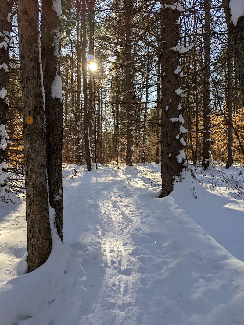Oakley Corners State Forest photo 4