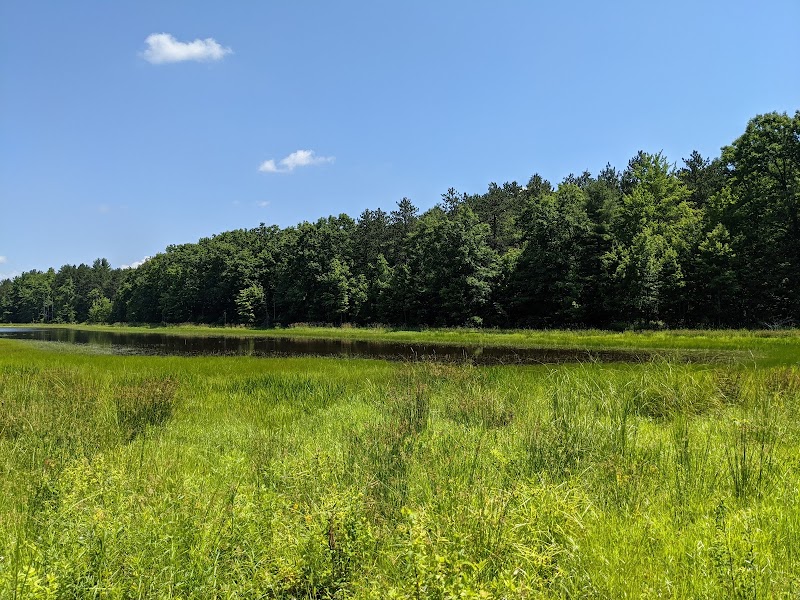 Oakley Corners State Forest photo 5