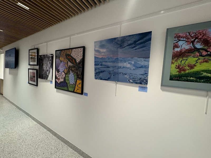 Oceanside Library photo 5