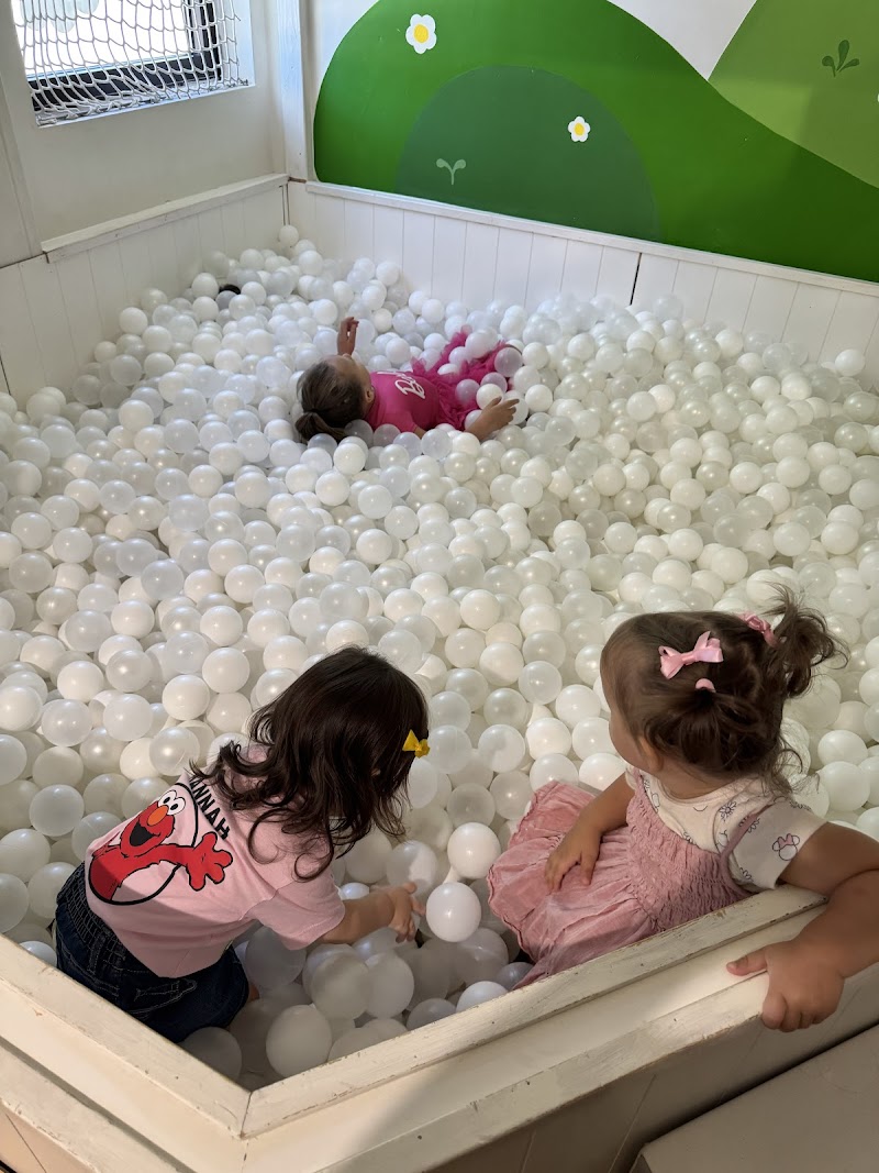 Oh My Goodness Kids photo 4
