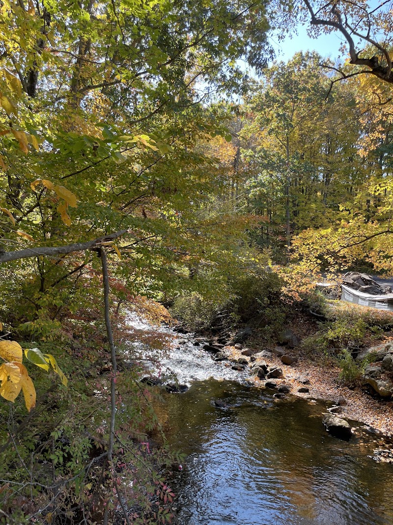 Old Mine Park photo 4