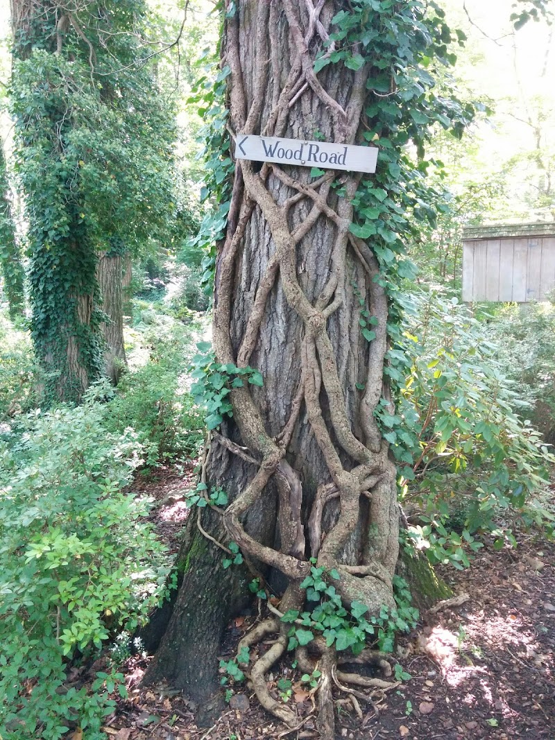 Olive W. and George S. Lee Memorial Garden photo 4