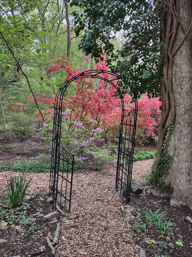 Olive W. and George S. Lee Memorial Garden photo 5