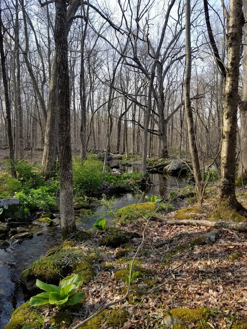 Onatru Farm Park photo 3