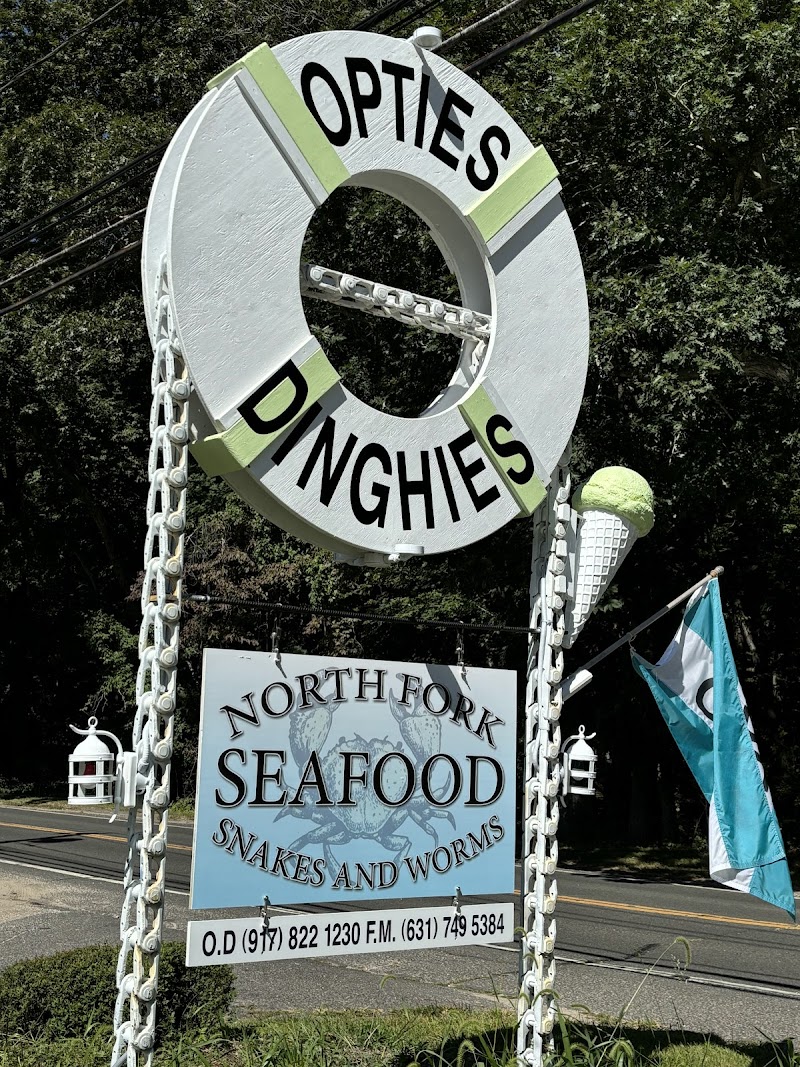 Opties and Dinghies photo 3