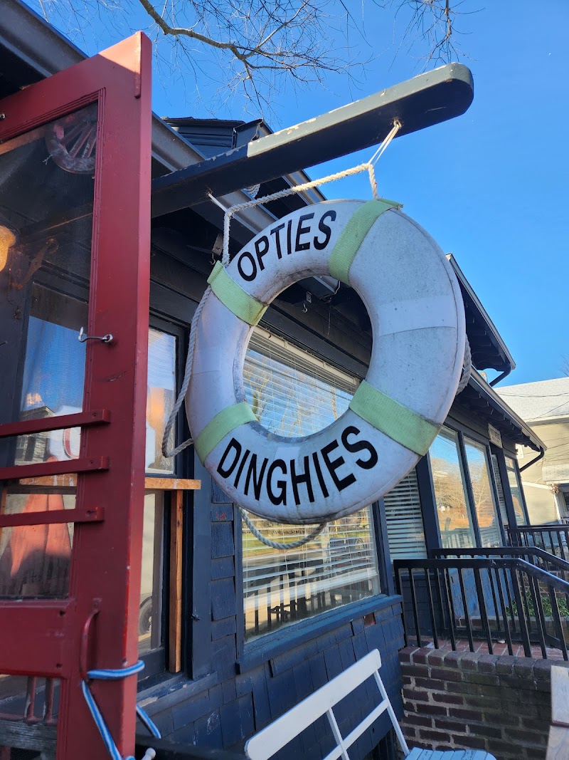 Opties and Dinghies photo 4