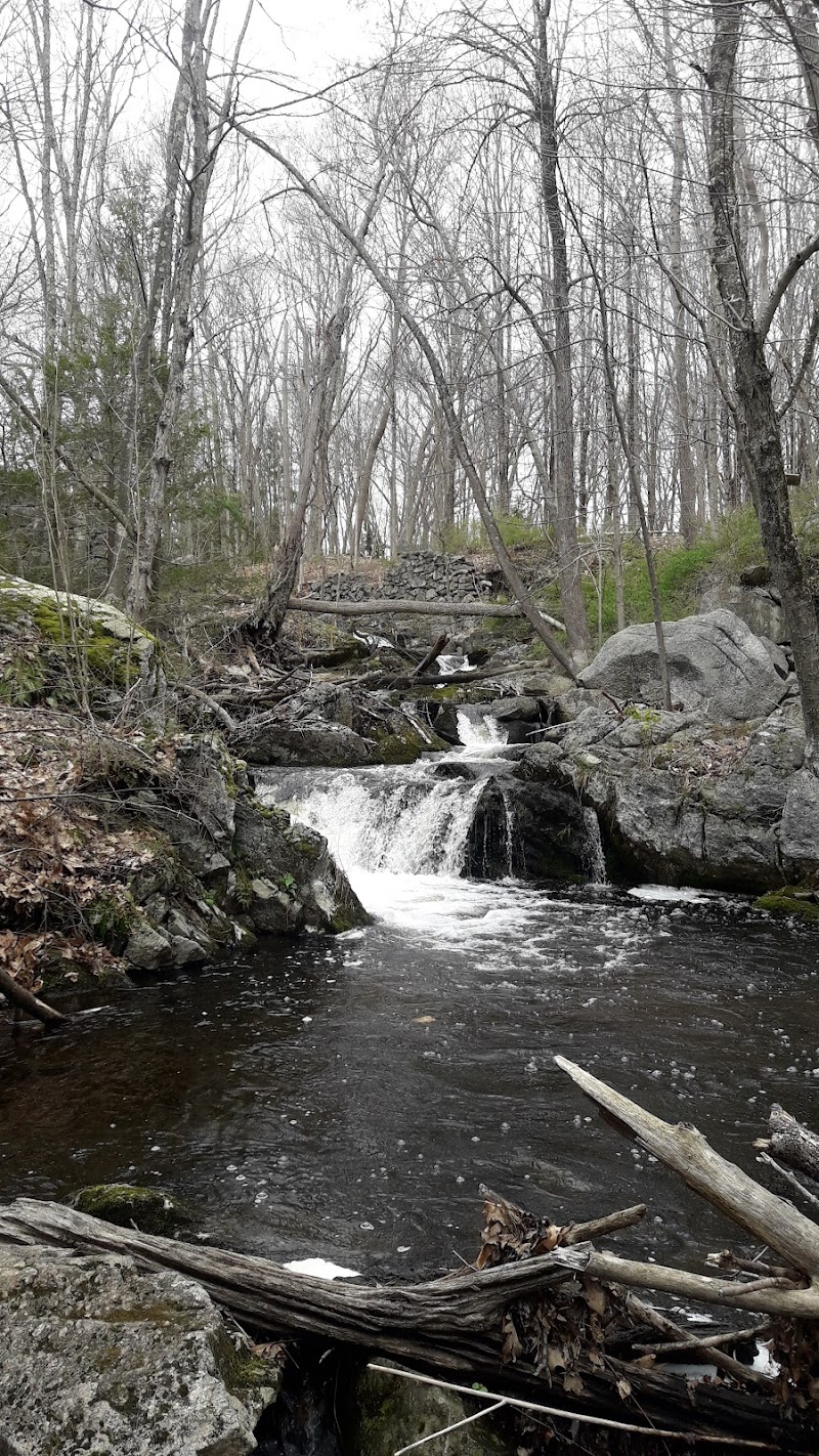 Orchard Hill Nature Center photo 2