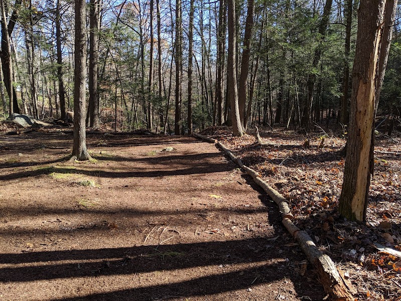 Orchard Hill Nature Center photo 3